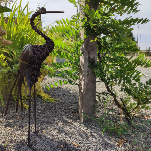 Large Blue Crane