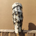 White owl