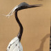 Heron