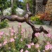 Small boxing hares sculpture