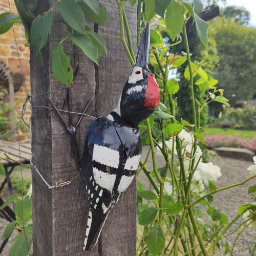 Spotted woodpecker