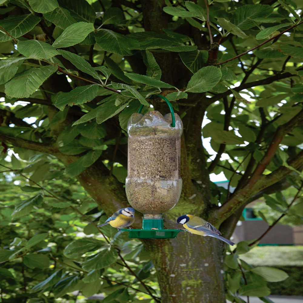 Kit de Mangeoire pour Oiseaux