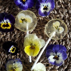 Sucettes Florales Sucettes Florales