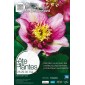 Fête des Plantes de Printemps