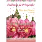 Couleurs de Printemps
